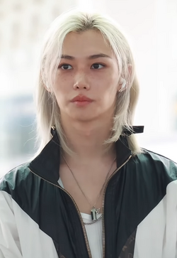 250px-Felix_Lee_of_Stray_Kids,_July_8,_2024_(2)_(cropped)