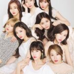 imageedit_1_7397094047