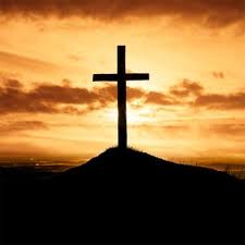 images - 2026-02-24T120252.211